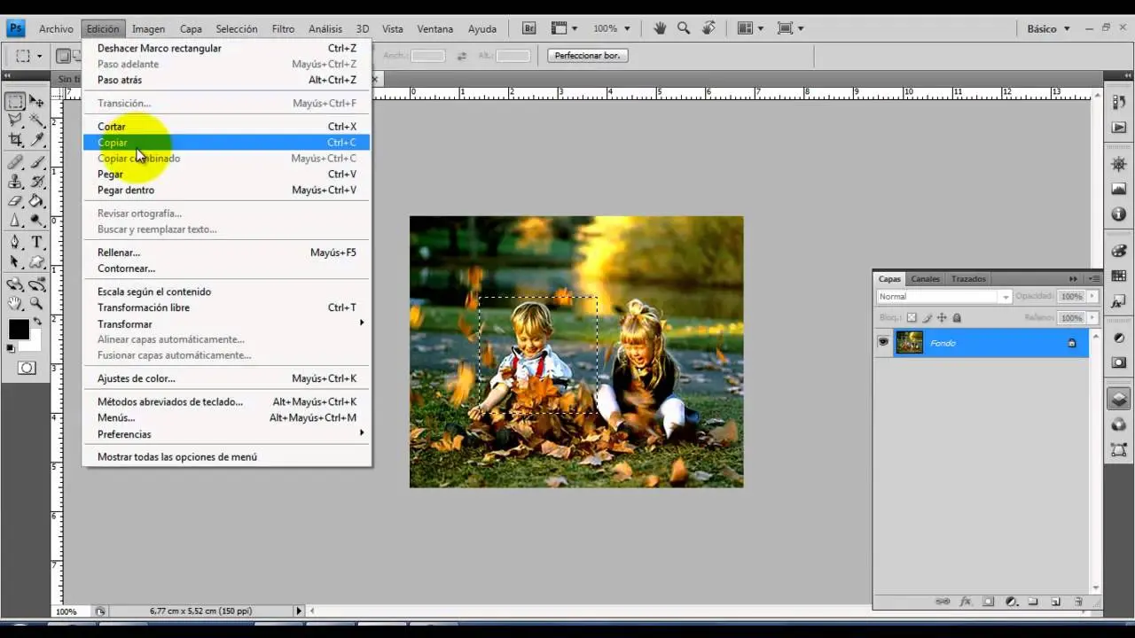 Cómo copiar una gráfica en Photoshop: Guía completa - Cómo copiar y pegar un pedazo de imagen en Photoshop como copiar una grafica en photoshop - Cómo copiar y pegar un pedazo de imagen en Photoshop