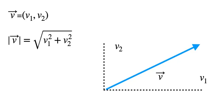 Cómo Calcular el Módulo de un Vector: Una Guía Completa - Cómo encontrar el módulo del vector como saber grafica el modulo de un vector - Cómo encontrar el módulo del vector