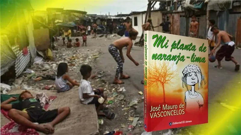 reseña grafica de mi planta de naranja lima - Cómo era Zezé mi planta de naranja lima