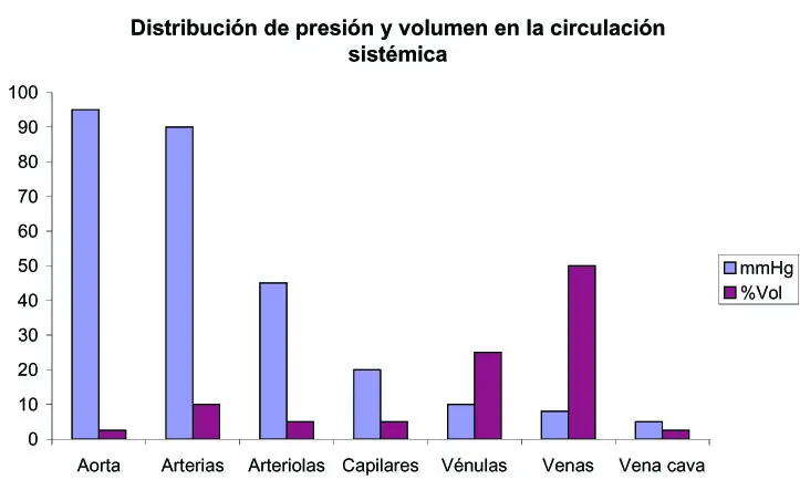 Circulación Sanguínea y Presión Arterial: Una Guía Completa - Cómo es la variación de la presión en el sistema circulatorio circulacion de la sangre presion grafica - Cómo es la variación de la presión en el sistema circulatorio