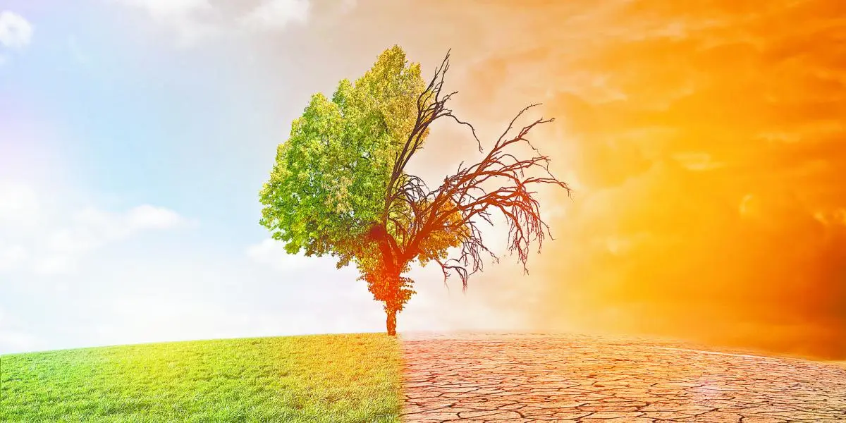 Gráfica de Pastel de la Contaminación Ambiental: Un Análisis Visual del Problema - Cómo está la contaminación en México en 2024 grafica de pastel de la contaminacion ambiental - Cómo está la contaminación en México en 2024