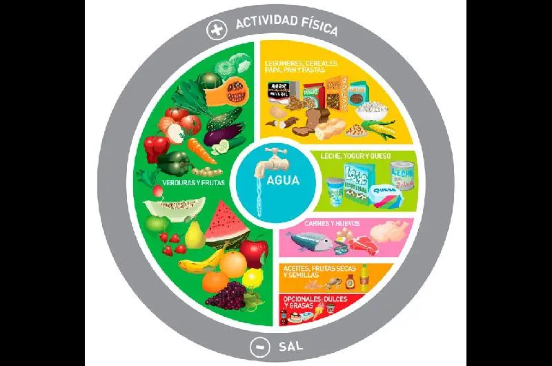 Guía Alimentaria Argentina: Una Guía Completa para una Alimentación Saludable - Cómo están distribuidos los alimentos en la guía alimentaria grafica de las guias alimentarias para la poblacion argentina - Cómo están distribuidos los alimentos en la guía alimentaria