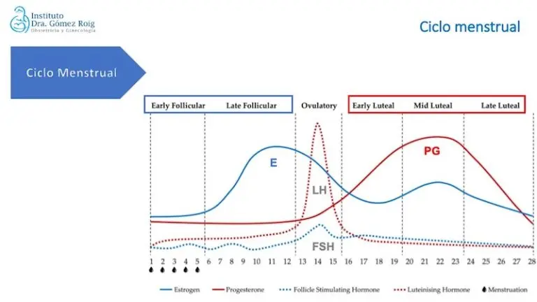 Ciclo Hormonal Femenino: Guía Completa con Gráfica - Cómo puedo saber mi ciclo hormonal ciclo hormonal femenino grafica - Cómo puedo saber mi ciclo hormonal
