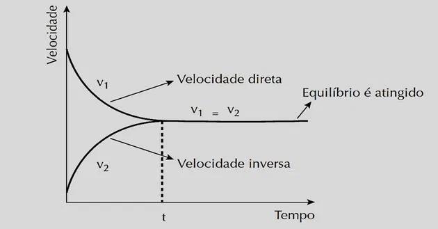 Equilibrio Químico: Gráficas y Conceptos Clave - Cómo saber si hay equilibrio químico equilibrio quimico grafica - Cómo saber si hay equilibrio químico