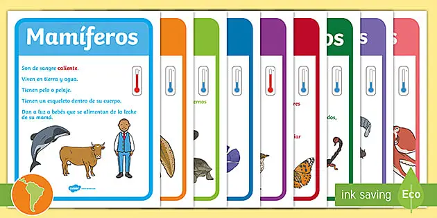 Clasificación de los Seres Vivos - Cómo se clasifican los seres vivos según Carlos Linneo clasificacion de los seres vivos para en imprenta mayuscula - Cómo se clasifican los seres vivos según Carlos Linneo