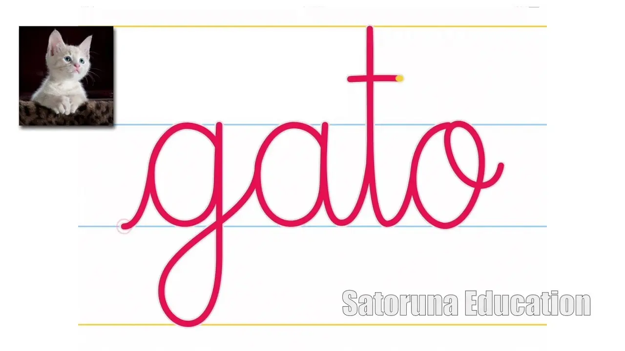<b>Gato</b>: Variantes, Significados y Usos en Español - Cómo se dice gato en Argentina gato en imprenta minuscula - Cómo se dice gato en Argentina