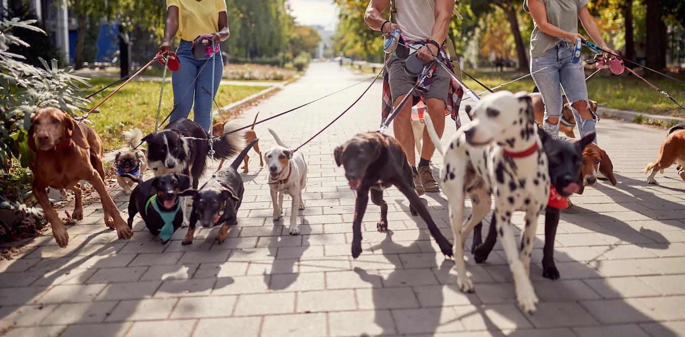 Media, Mediana y Moda en Gráficas: Una Guía Completa - Cómo se interpreta la media, mediana y moda media mediana y moda en grafica - Cómo se interpreta la media, mediana y moda