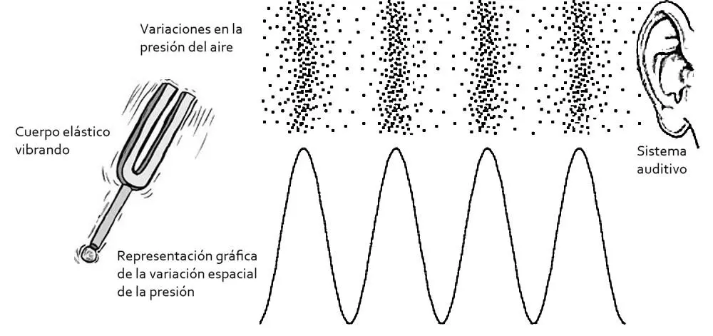Cómo se produce el fenómeno sonoro: Una guía completa - Cómo se producen los sonidos sonoros como se produce el fenomeno sonoro grafica - Cómo se producen los sonidos sonoros