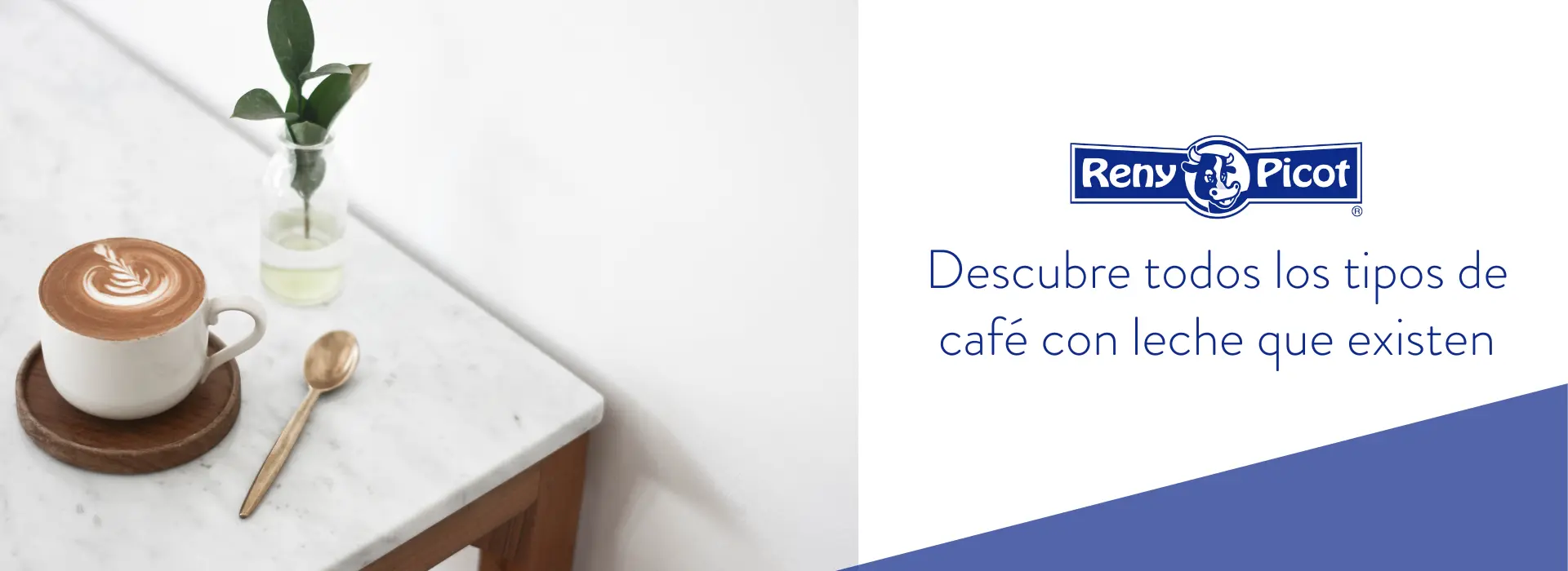 Café con Leche: Guía Completa, Beneficios y Variedades - Cuál es la medida de café con leche cafe con leche grafica - Cuál es la medida de café con leche