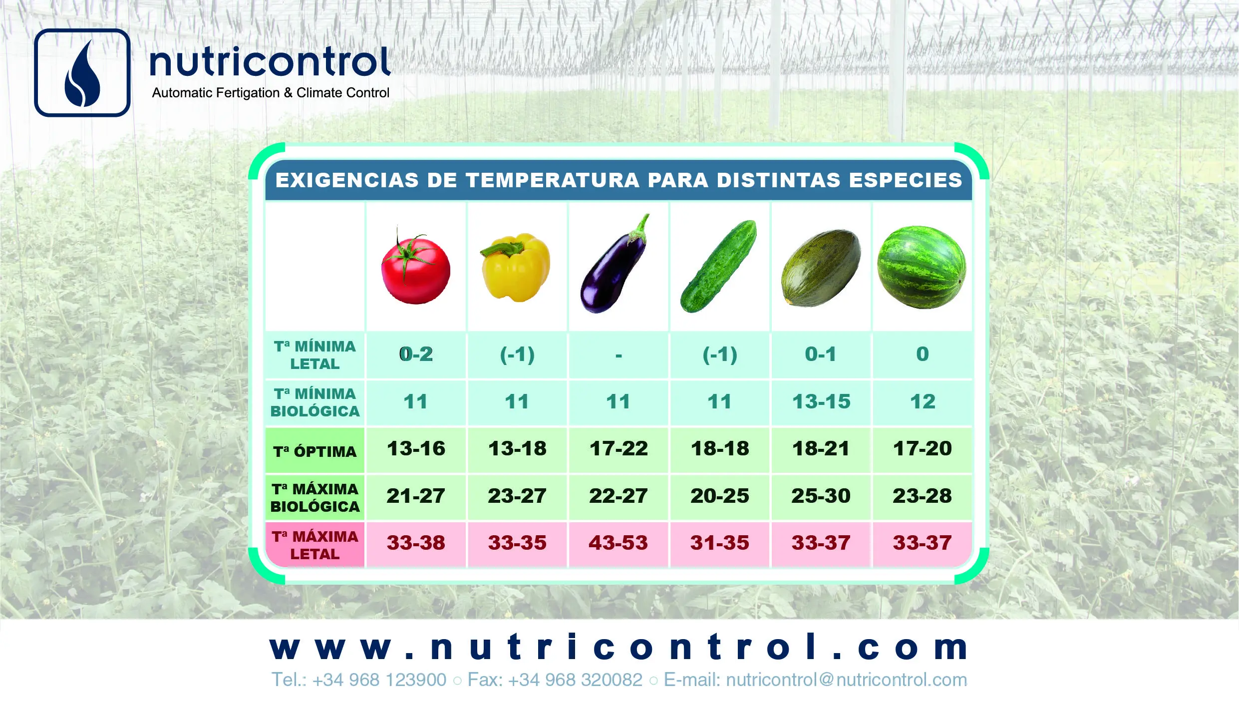 Cómo interpretar gráficas de temperatura en plantas: Guía completa para cultivadores - Cuál es la temperatura óptima para la fotosíntesis como interpretar grafica temperatura de plantas - Cuál es la temperatura óptima para la fotosíntesis