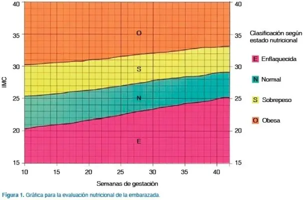 grafica imc embarazo - Cuándo se considera sobrepeso en el embarazo