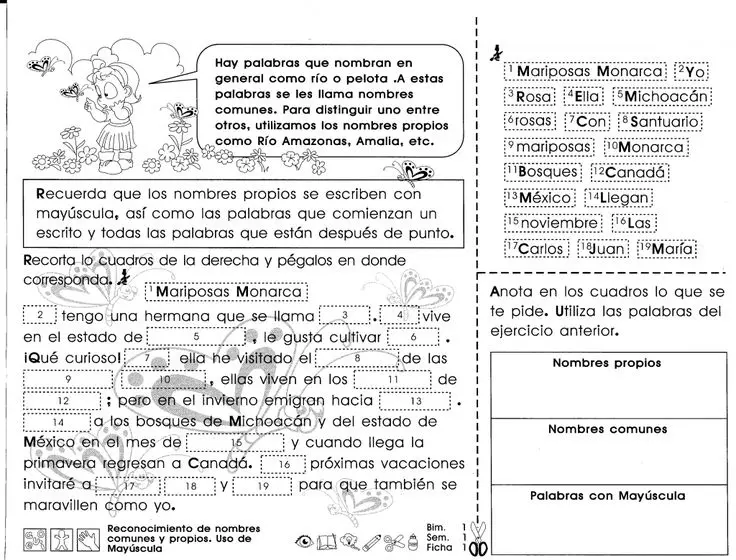 Mayúsculas en Sustantivos: Comunes y Propios - Cuándo se debe poner en mayúscula un sustantivo común comunes y propios en imprenta mayuscula - Cuándo se debe poner en mayúscula un sustantivo común