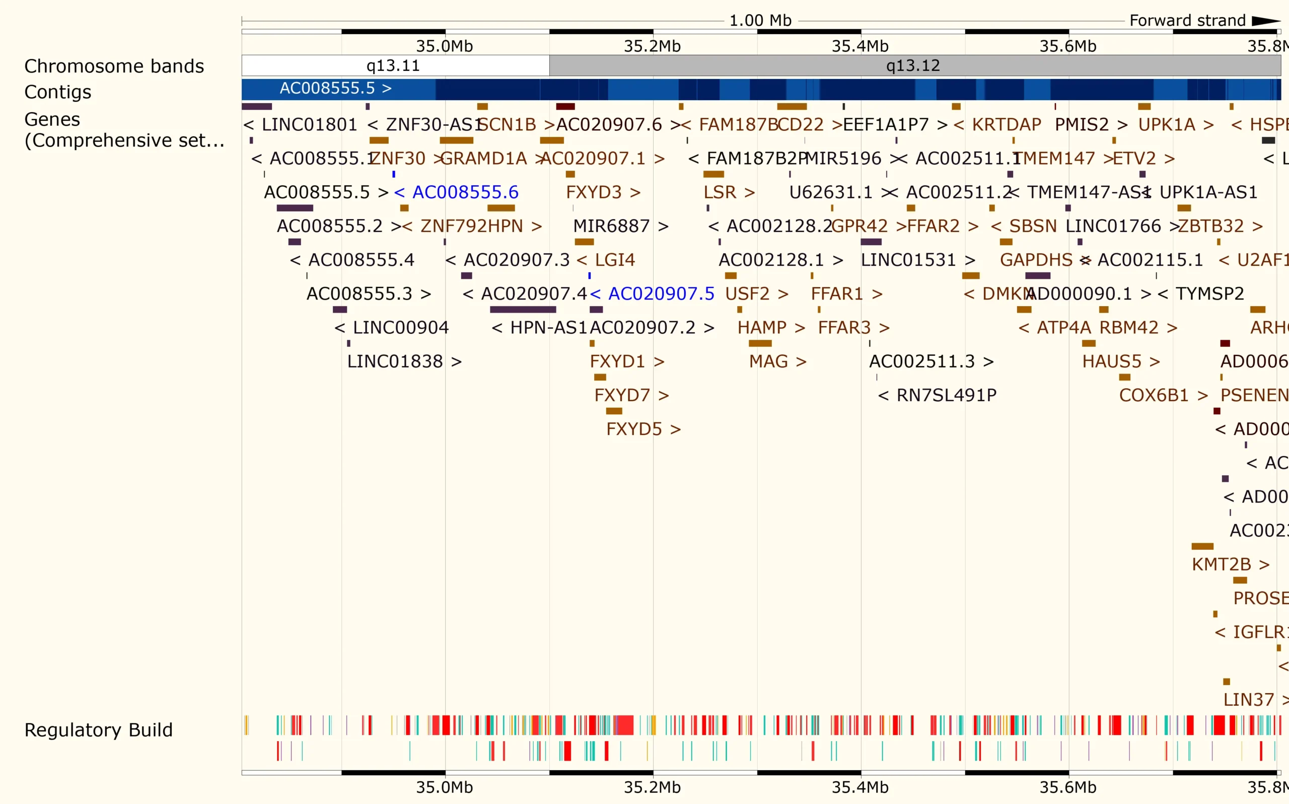 <b>Genoma:</b> Su Imprenta Genética - Cuántos genomas tiene el ser humano genoma su imprenta - Cuántos genomas tiene el ser humano