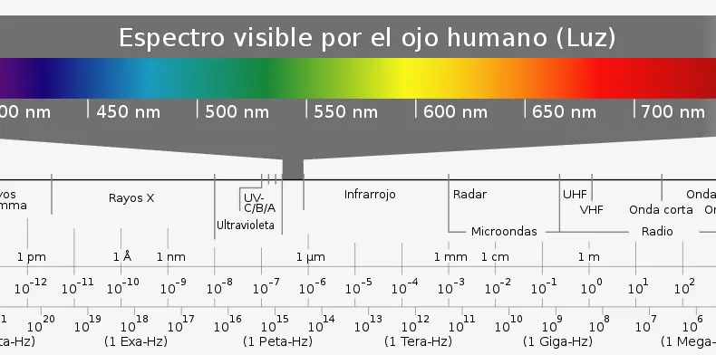 pericia grafica - Cuántos tipos de pericias existen