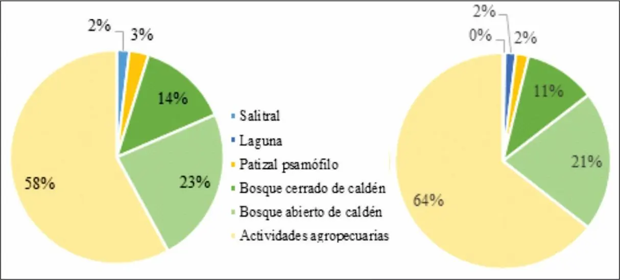Áreas de Seriedad del Sobrepastoreo en Gráfica en Argentina - Dónde hay sobrepastoreo en Argentina areas de seriedad de sobrepastoreo en grafica en argentna - Dónde hay sobrepastoreo en Argentina