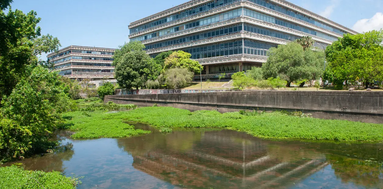 Aportes de las Vanguardias a la Gráfica Actual (FADU UBA) - Por qué es importante la vanguardia aportes de las vanguardias a la grafica actual fadu uba - Por qué es importante la vanguardia
