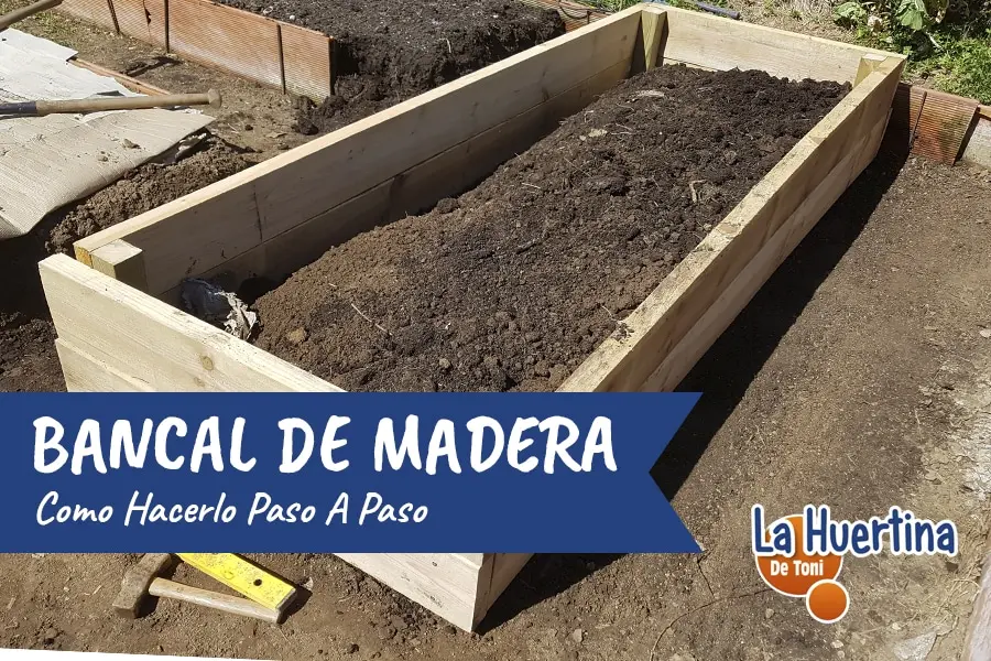 Bancal de Madera: Guía Completa para su Construcción y Mantenimiento - Qué madera usar para un bancal bancal de madera grafica - Qué madera usar para un bancal