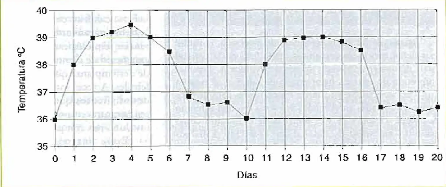 Fiebre Continua: Gráfica, Duración, Tipos y Tratamiento - Qué quiere decir fiebre continua fiebre continua grafica - Qué quiere decir fiebre continua