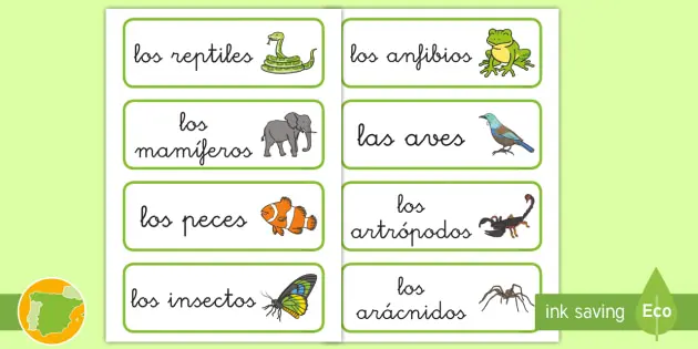 Clasificación de los Seres Vivos - Qué se toma en cuenta para clasificar a los seres vivos clasificacion de los seres vivos para en imprenta mayuscula - Qué se toma en cuenta para clasificar a los seres vivos