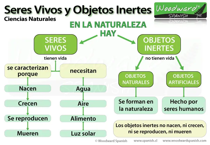 Definición de Seres Vivos e Inertes - Qué son seres vivos e inertes definicion seres vivos e inertes en imprenta mayuscula - Qué son seres vivos e inertes