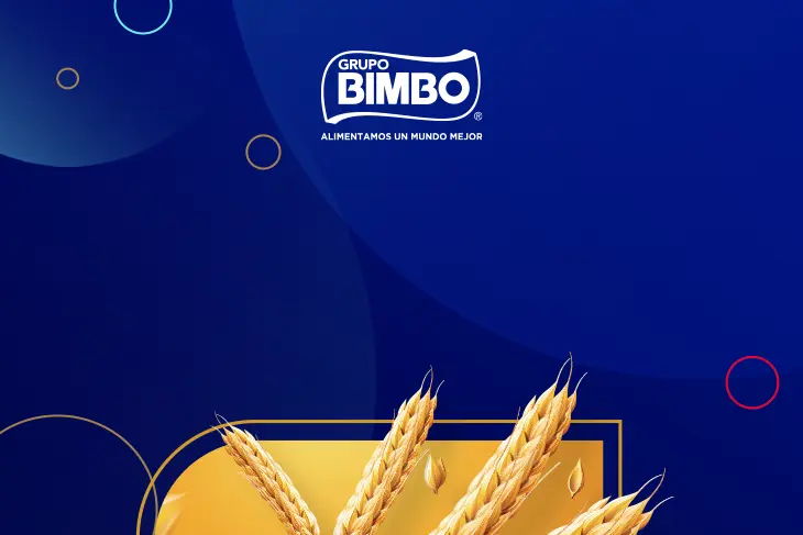 Análisis de la Imagen de Bimbo: Grafica, Tipografía y Confianza del Inversor - Qué tan confiable es invertir en Bimbo bimbo grafica - Qué tan confiable es invertir en Bimbo