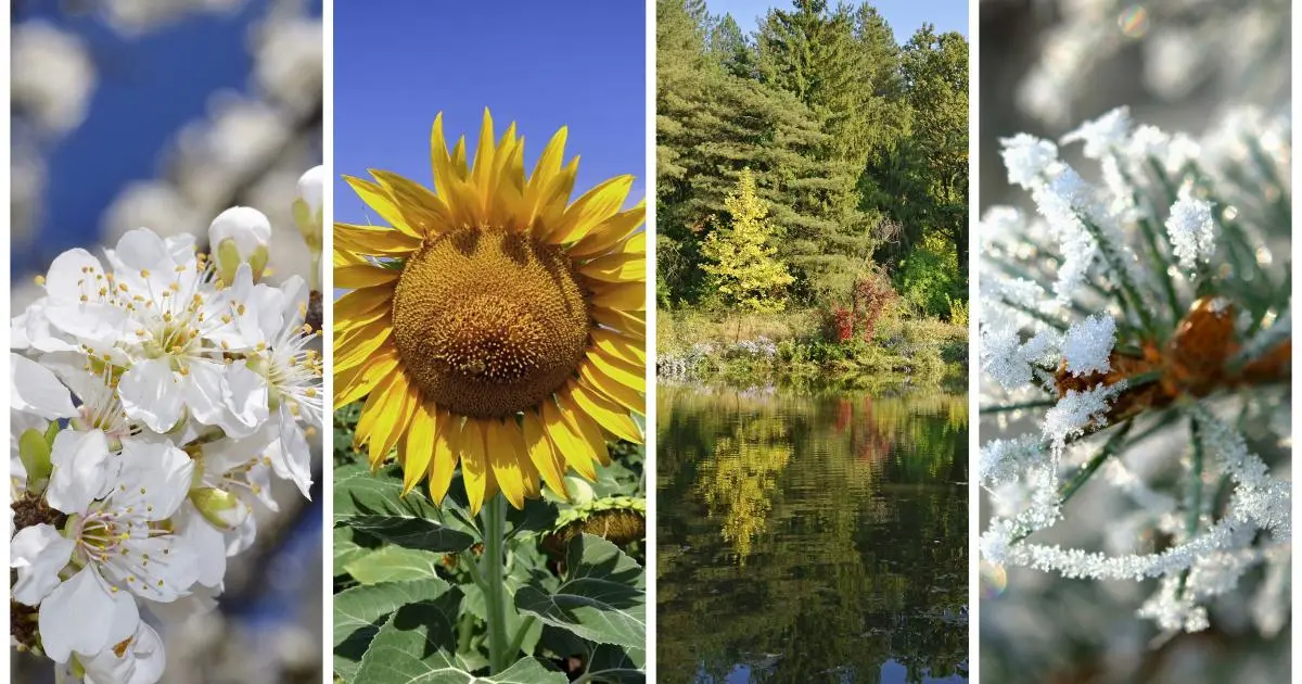 Fall Time Imprenta: Optimizando tu Negocio en Otoño - What is fall time season fall time imprenta - What is fall time season